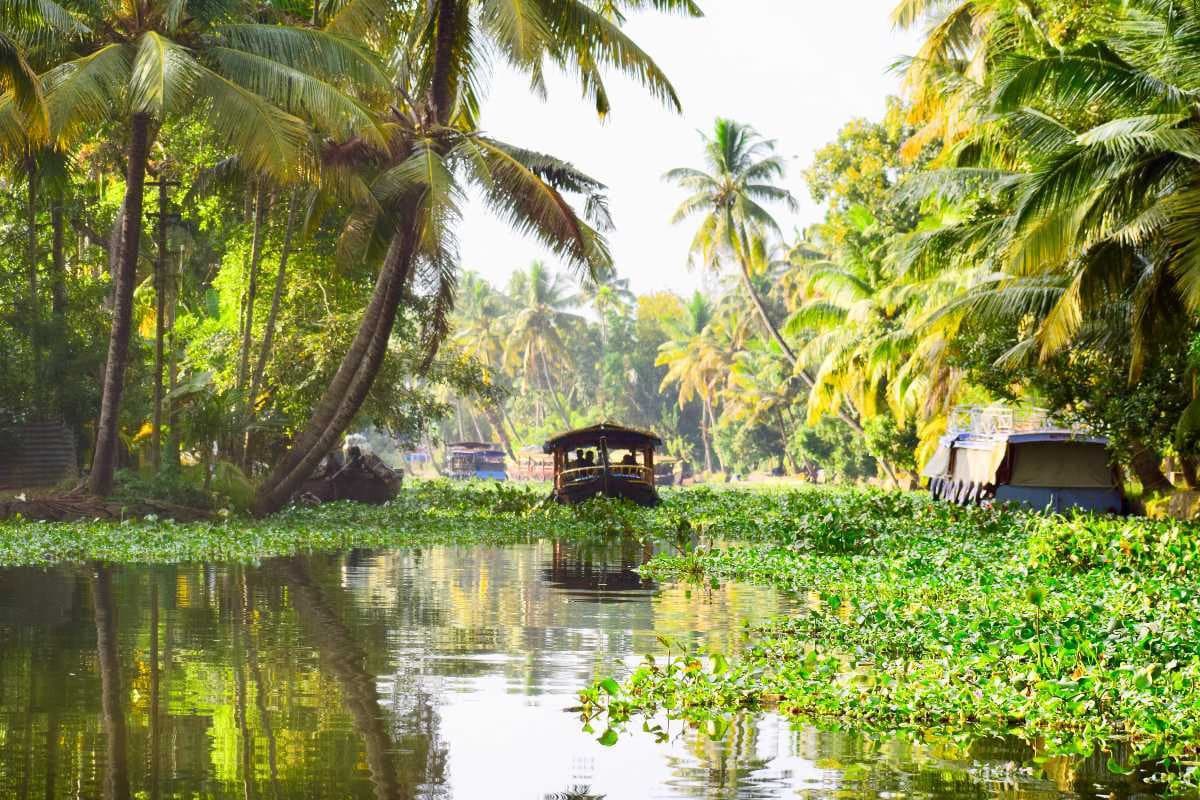 Alleppey (Kerala Backwaters)